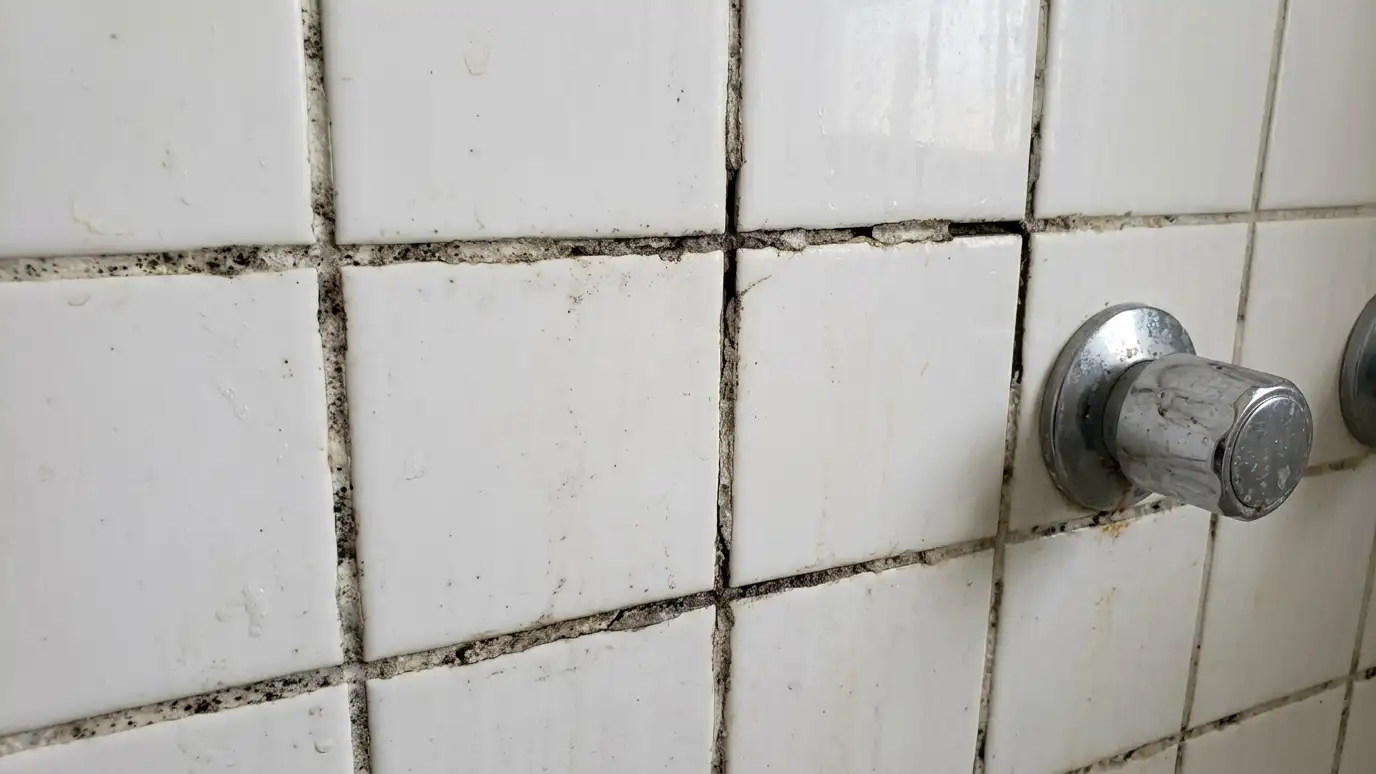 Before: a shower wall with white tile with dark, stained and cracked grout lines
